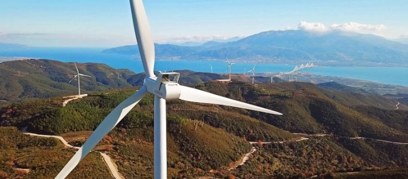 Το γνωρίζατε; - Πόσες χιλιάδες πουλιά πεθαίνουν κάθε χρόνο από ανεμογεννήτριες;